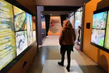 Roque Bentayga Interpretation Center Interior