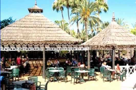 Waikiki Hotel Pool Bar