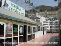 Molly Malones Irish Bar