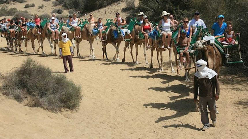 Through the Sand Dunes by walking guides