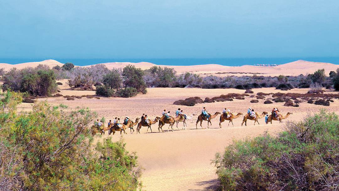 About a 30 min. ride