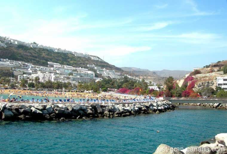 A line of sunbeds is available along the breakwater