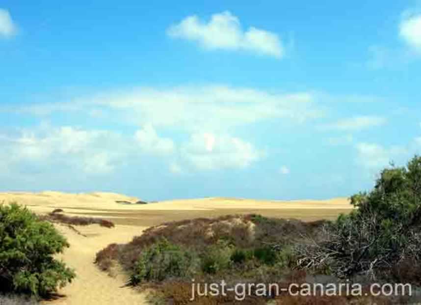 Maspalomas dunes way to kiosk 7