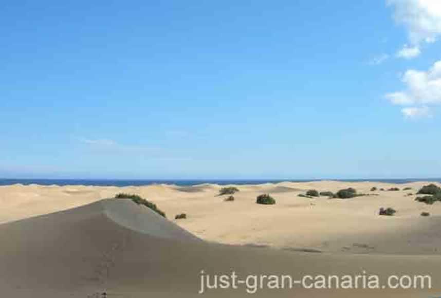 Maspalomas rolling dunes