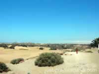 Maspalomas Dunes - Walker