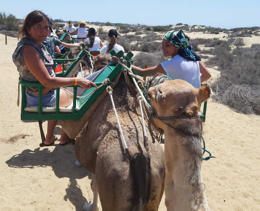 Enjoy the dramatic dune scenery