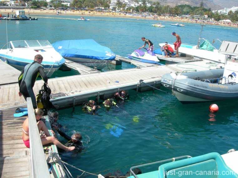 Scuba Training in Harbour