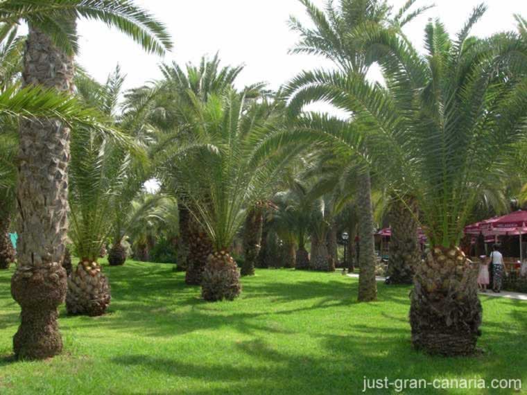 Orquidea Hotel grounds