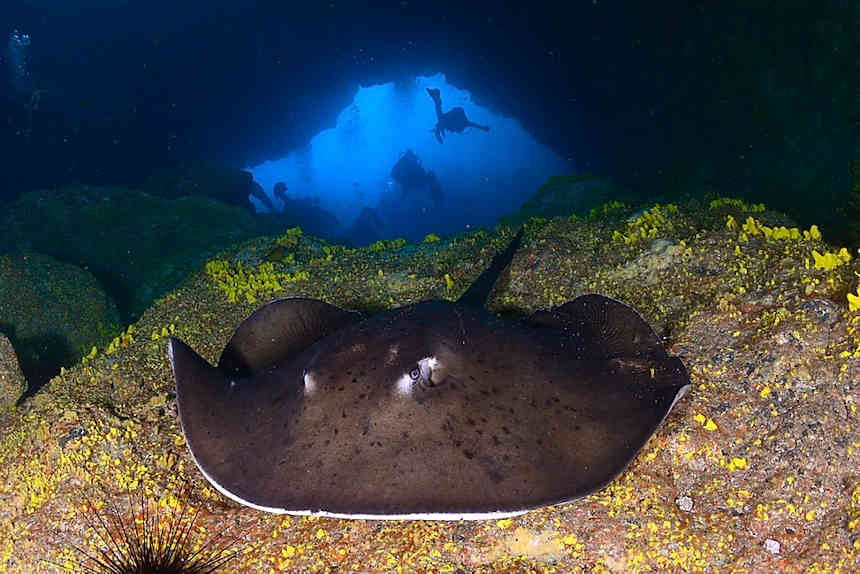 Scuba Diving, Divers under arch & a Ray 